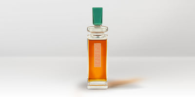 Une rencontre créative