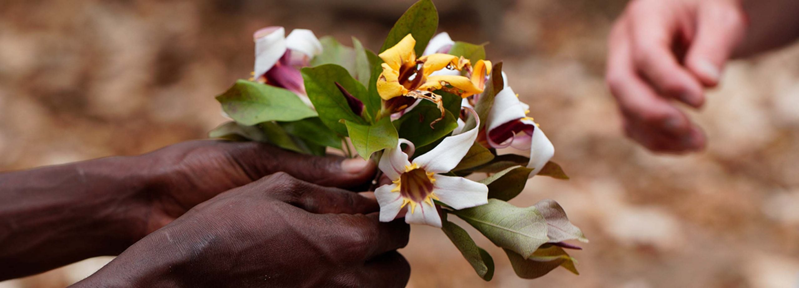 Eco-responsibility at the heart of our mission