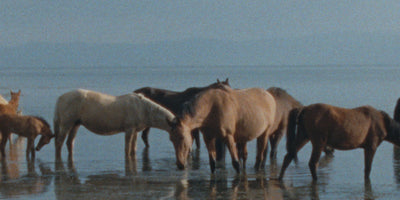 Olivia de Rotschild, Directrice Artistique de Caron