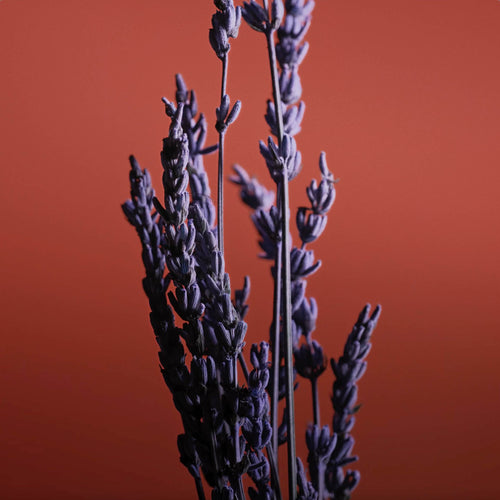 Pour Un Homme de CARON Le Soir - Vaporisateur Voyage