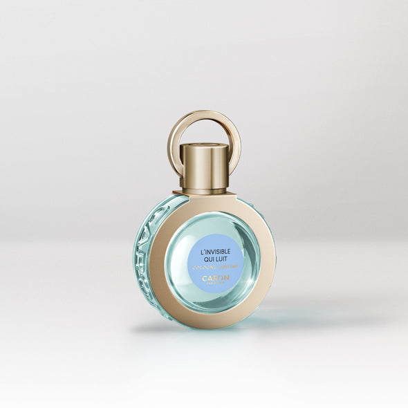 <p>L'Invisible qui Luit</p>