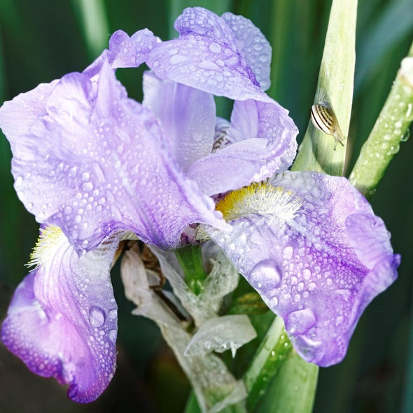 <p>Our eco-sourced ingredients</p>