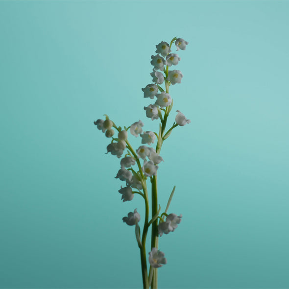 An ode to springtime nature