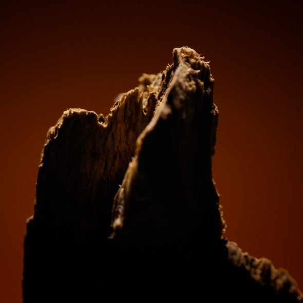 Une dualité Oud – Café